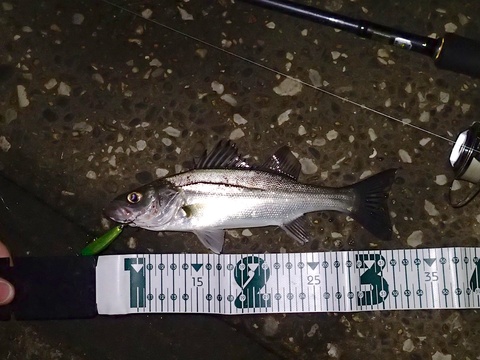 f0280739_21302757.jpg
