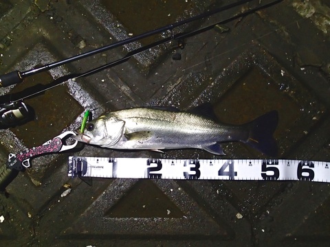 f0280739_21381031.jpg