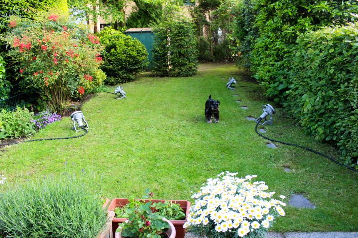 c0153740_1742501.jpg