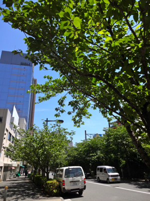 f0141840_22164917.jpg