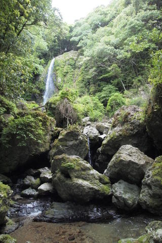 b0199742_23175396.jpg