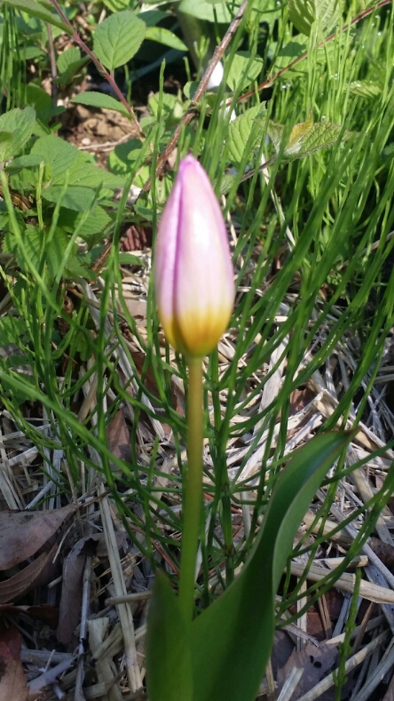 c0310543_9393689.jpg