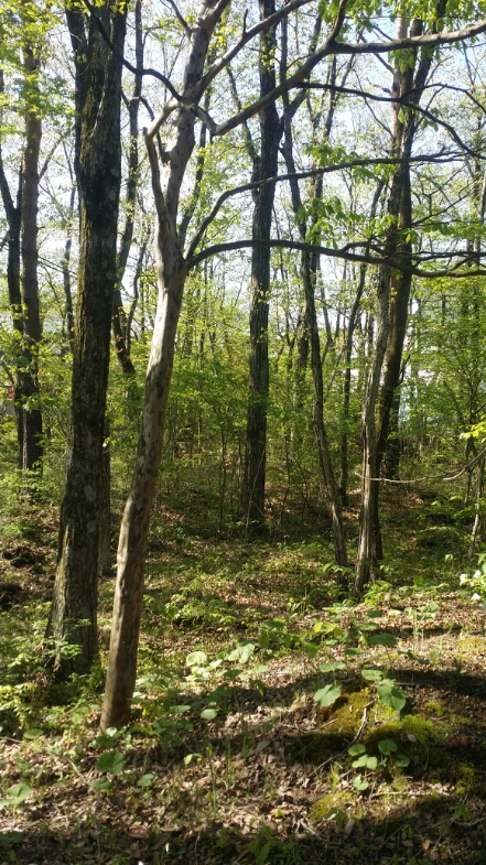 c0310543_94428.jpg