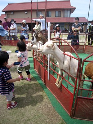 c0141652_1418331.jpg
