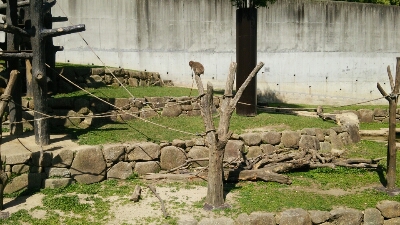 b0253057_18343328.jpg