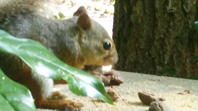 b0253057_18352912.jpg