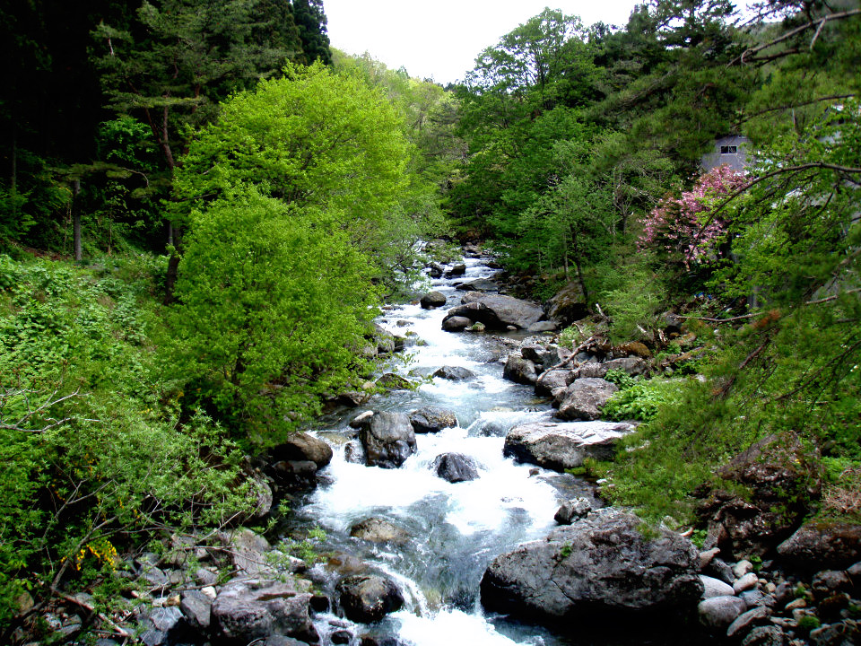 d0283357_18423964.jpg