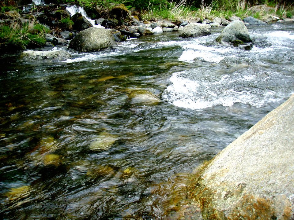 d0283357_18532193.jpg