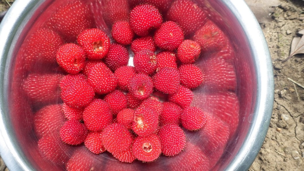 f0201157_2222249.jpg