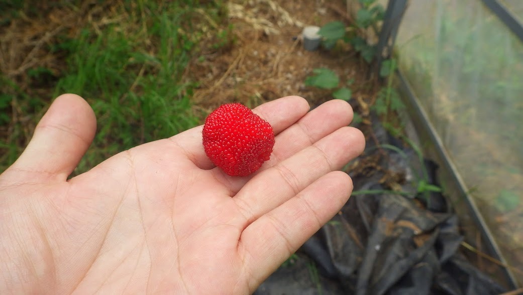 f0201157_22244786.jpg