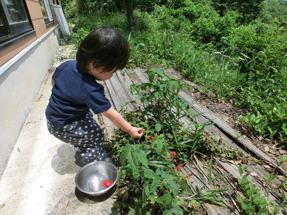 f0201157_22322548.jpg
