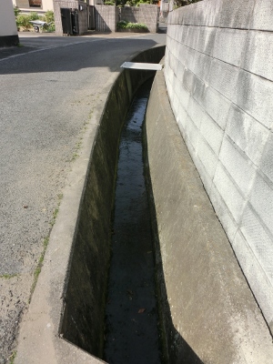 c0328559_17381870.jpg