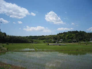 e0271461_1949631.jpg