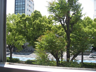 b0259063_7491816.jpg