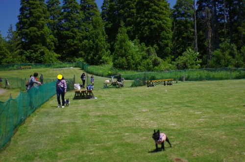 c0298565_18401016.jpg