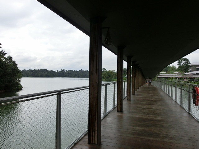 d0131068_8461689.jpg