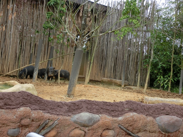 d0131068_8474944.jpg