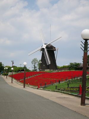 c0117570_13133774.jpg