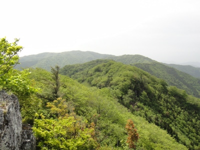 d0182075_7182010.jpg