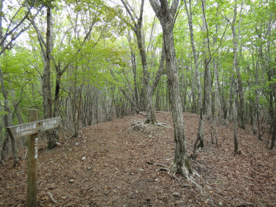 d0182075_7192881.jpg