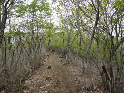 d0182075_740594.jpg