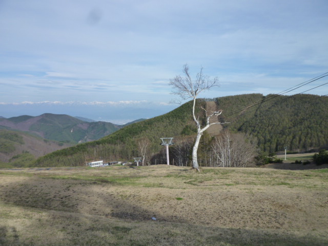 e0165577_20235440.jpg