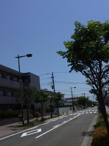 a0137279_944156.jpg