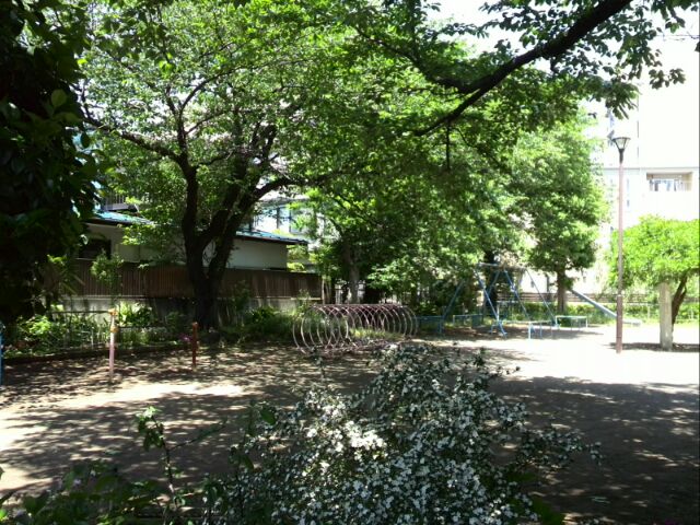 a0137279_944166.jpg