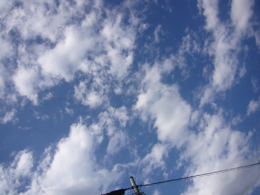 a0141884_17324533.jpg