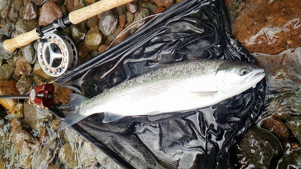 a0118989_2228815.jpg