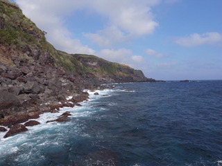 a0137192_8575860.jpg