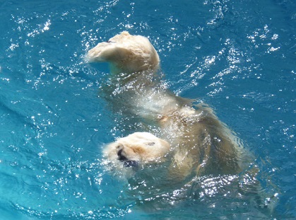 f0297893_16372754.jpg