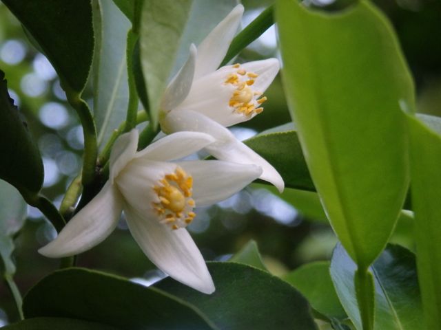 f0130894_22245313.jpg