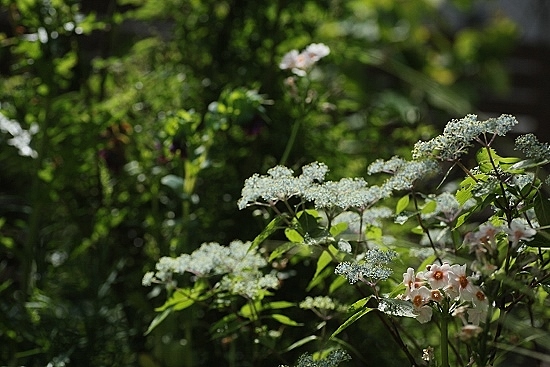 e0209997_0283686.jpg