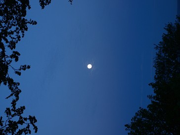 b0110999_4393965.jpg