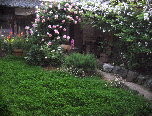 d0077603_10213037.jpg