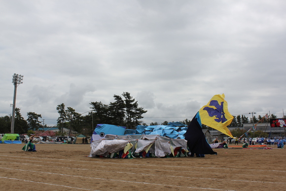 d0149105_749195.jpg