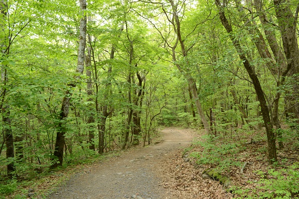 b0277008_746164.jpg