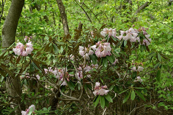 b0277008_754308.jpg