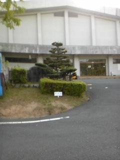 d0118009_14234556.jpg