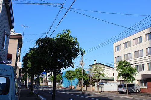a0139912_5513767.jpg