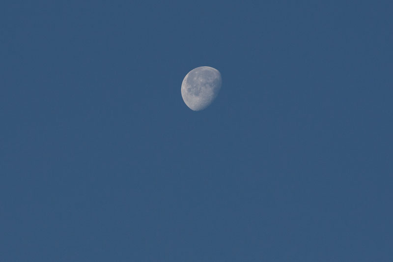 a0278914_18164936.jpg