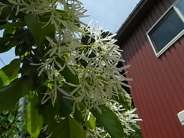 f0341616_6183236.jpg