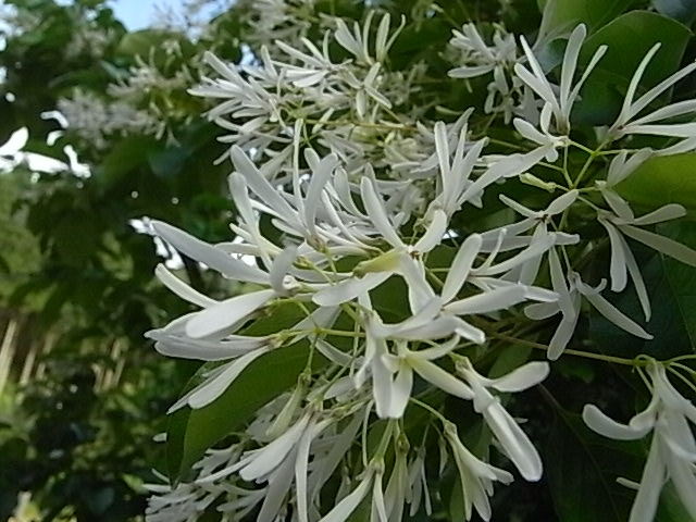 f0341616_621417.jpg