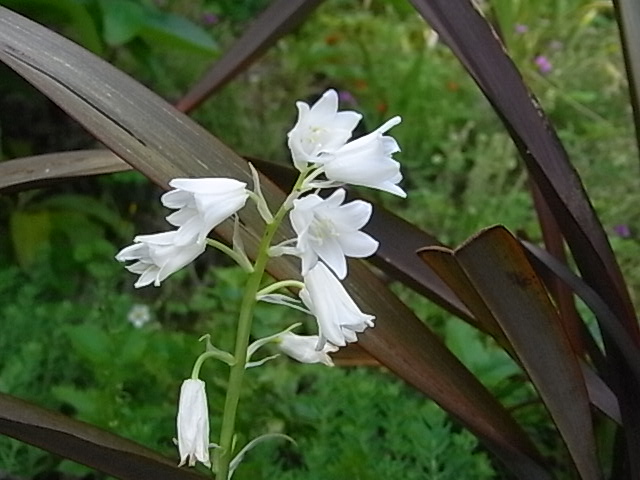 f0341616_69666.jpg