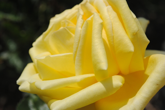 b0209919_23131495.jpg