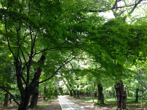 e0163721_858631.jpg