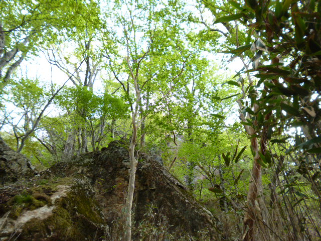 a0220528_131280.jpg