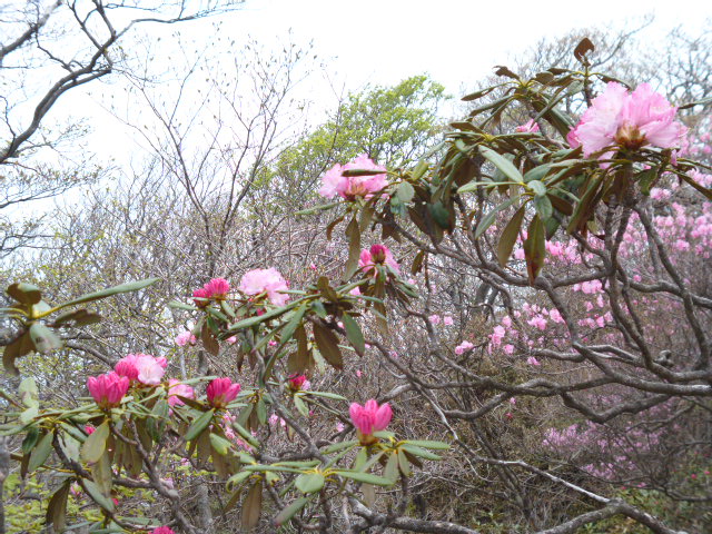 a0220528_16311.jpg