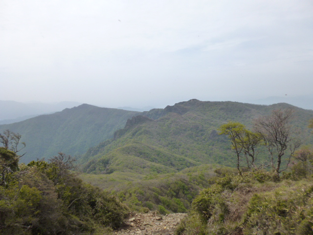 a0220528_173320.jpg